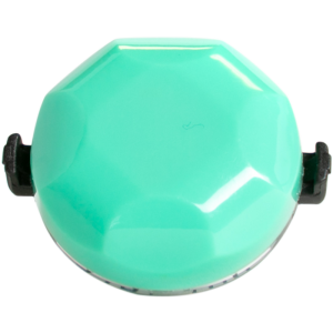 PPT-1 top view