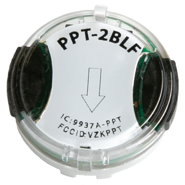 PPT-2 bottom view